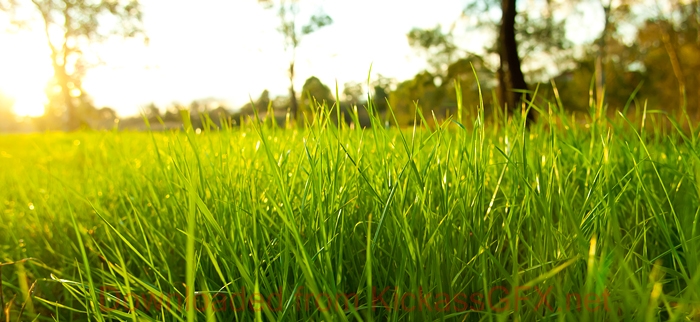 在线DDOS平台攻击