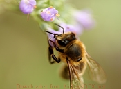 免费ddos平台攻击