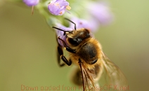 免费ddos平台攻击