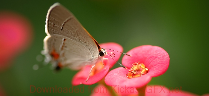 轻量级高效的ddos攻击测试